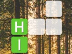 เวิร์ดบล็อก - crazygames,crazy games,free games,h5 game, free play,free crazy games