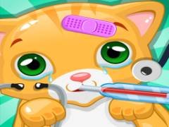 หมอแมว ช่วยแมวของฉันด้วย - crazygames
