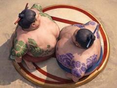 การต่อสู้มวยปล้ำซูโม่ - crazygames