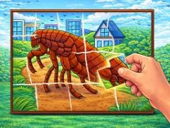 ชิ้นส่วนที่ฉีกขาด - crazygames