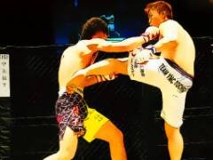 การแข่งขันมวยปล้ำ UFC จิ๊กซอว์ - crazygames