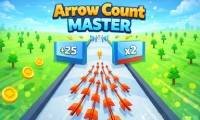มาสเตอร์นับลูกศร - crazygames