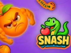 สแนชมาสเตอร์: เกมสนุกของหอยทาก - crazygames