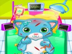 คลินิกหมอแมว ASMR - crazygames