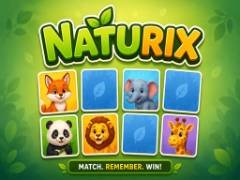 นัทูริกซ์ - crazygames
